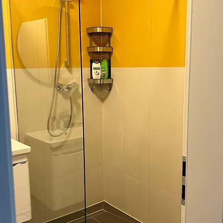 Joy Mara M11-14 * تيميشورا