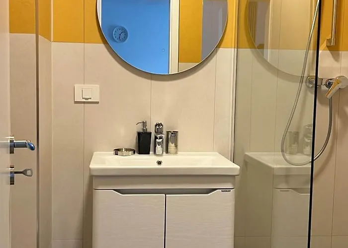 Joy Mara M11-14 Тимишоара