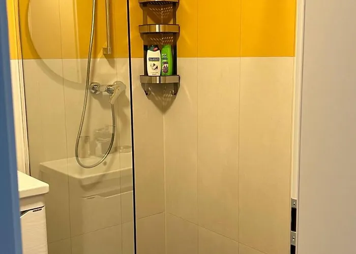 Joy Mara M11-14 * Тимишоара